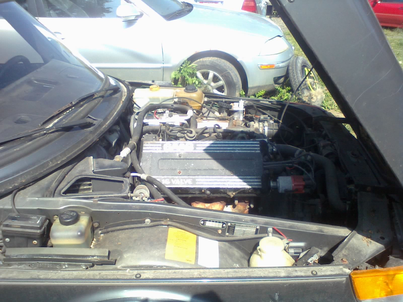 Illustration for article titled I Visited That Must-Sell Car Collection